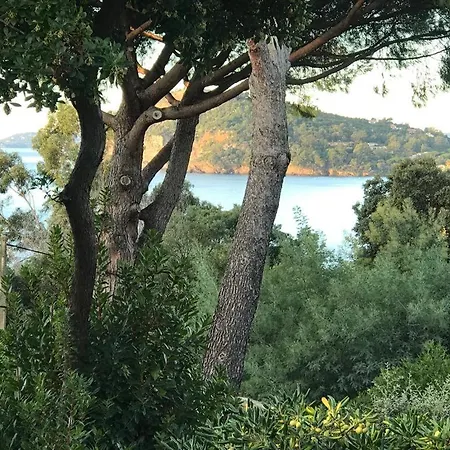 Casa vacanze Vue à 150m à Pied De La Du Canadel Le Rayol-Canadel-sur-Mer